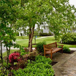 A peaceful garden scene with a wooden bench surrounded by lush greenery and flowering plants.