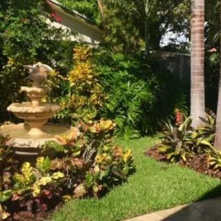 A lush tropical garden with a decorative fountain surrounded by greenery.