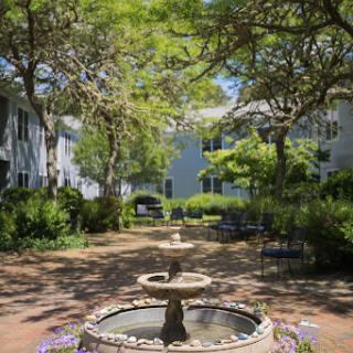 A serene garden with a fountain surrounded by lush trees, creating a peaceful outdoor retreat.