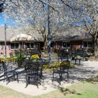 A picturesque outdoor seating area under blossoming trees, featuring metal tables and chairs on a sunny day.