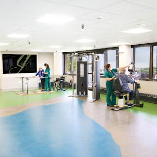 A bright and modern rehabilitation facility where medical professionals assist patients in physical therapy.