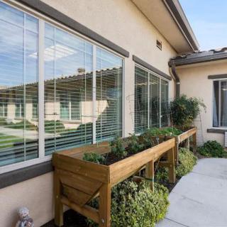 A view of a building exterior with planter boxes filled with greenery along the windows.