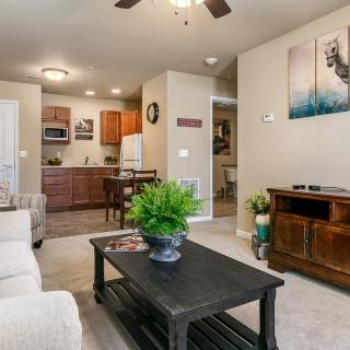 A cozy apartment living room with a view of the kitchen area, featuring comfortable furniture and decorative elements.