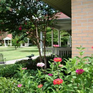 A scenic garden with colorful flowers and a gazebo surrounded by lush greenery.