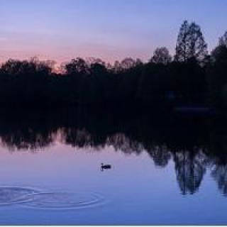 A tranquil lake at sunset with trees silhouetted against the colorful sky.
