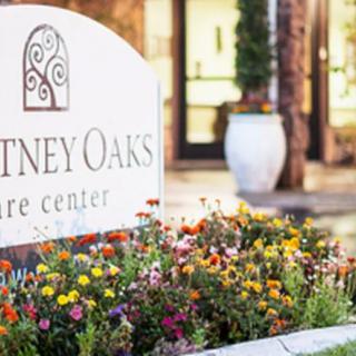 A sign for a care center surrounded by colorful flowers.