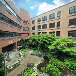 A serene courtyard garden surrounded by a brick building, featuring lush greenery and a small pond.