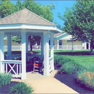 A quaint gazebo surrounded by lush greenery on a sunny day.
