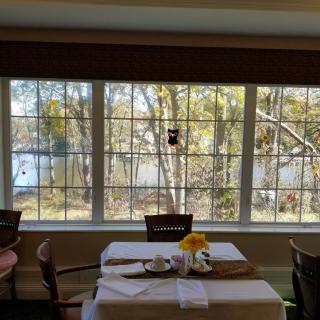 A restaurant interior with tables and chairs, featuring large windows overlooking a scenic lake and trees.