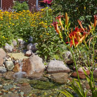 A vibrant garden scene featuring colorful flowers and a serene water feature surrounded by rocks.