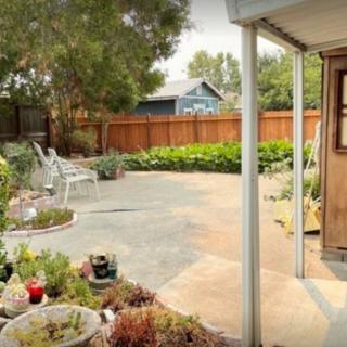 A serene backyard garden with diverse plants and a cozy seating area.