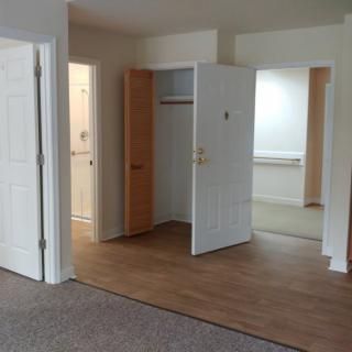 An empty apartment interior with open doors leading to different rooms and a closet.