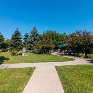 A serene park setting with pathways surrounded by trees and grass on a sunny day.