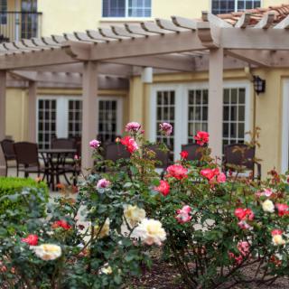 A charming outdoor space featuring a pergola, vibrant roses, and a cozy patio.