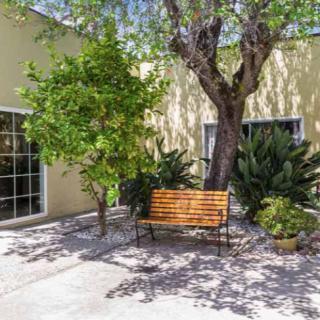 A peaceful courtyard with a wooden bench under the shade of a large tree.