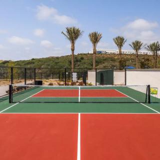An outdoor tennis court surrounded by tall palm trees under a clear blue sky.