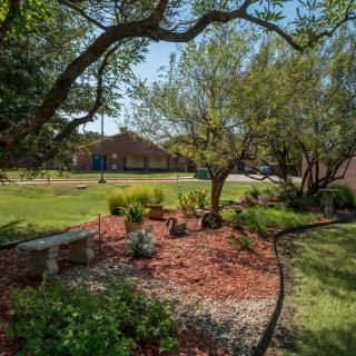 A serene garden with a bench surrounded by trees and plants on a sunny day.