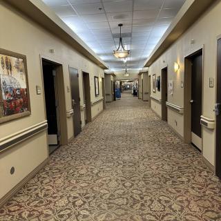 A long, carpeted hallway with doors on either side and paintings on the walls.