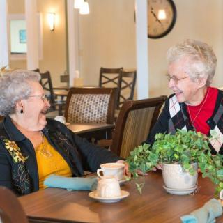 Two elderly women enjoy a conversation over coffee in a cozy dining area.