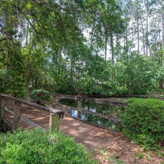 A serene pathway bridge nestled within a lush, green forest setting.