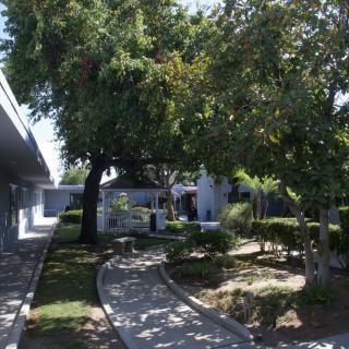 A serene garden pathway surrounded by lush trees and manicured landscaping.