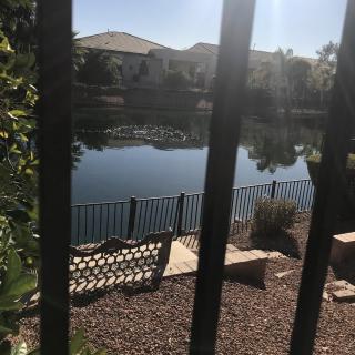 Serene view of a lake with a bench and fence in the foreground.