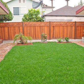 A well-maintained backyard with a lush green lawn and wooden fence.