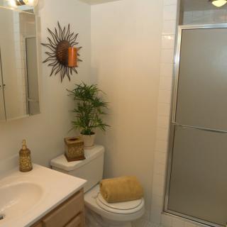 A cozy bathroom with a shower, toilet, and sink, featuring decorative elements and a small plant.