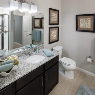 A modern bathroom featuring a granite countertop, dual sink, and decorative artwork.