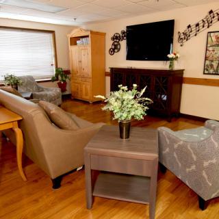A cozy living room with comfortable seating, a large TV, and decorative plants.
