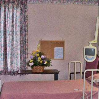 A hospital room with a bed, medical equipment, and a vase of flowers on the table.