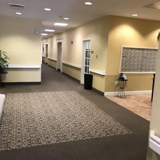 A well-lit hallway in a building, featuring a carpeted floor and decorative plants.