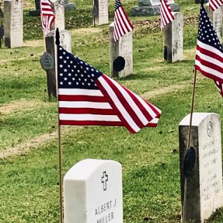 Flags honor those who have served, marking each resting place in the cemetery.