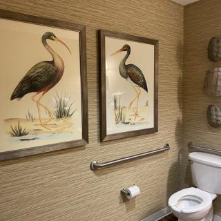 A bathroom with decorative bird paintings on the wall.
