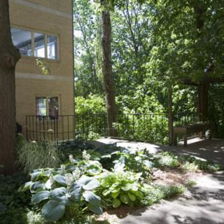 A serene garden with lush greenery and a pathway next to an apartment building, illuminated by sunlight.