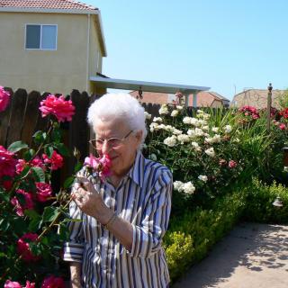 An elderly person enjoys the fragrance of flowers in a sunny garden.