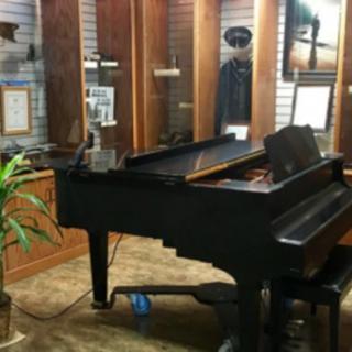 A grand piano displayed in a museum exhibit area, accompanied by a potted plant.