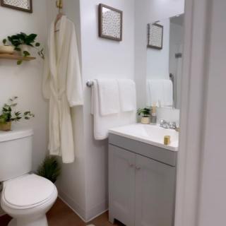 A clean and minimalist bathroom with a sink, mirror, and decorative plants.