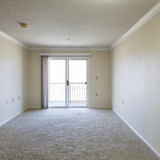 An empty room with carpeted flooring and a sliding glass door allowing natural light to enter.