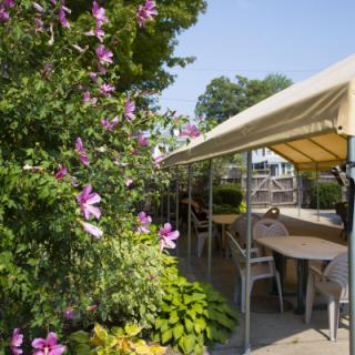 A peaceful garden patio area with colorful flowers and shaded seating.