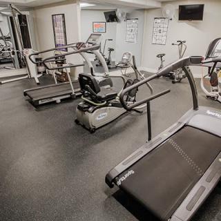 A modern gym equipped with treadmills and exercise bikes.