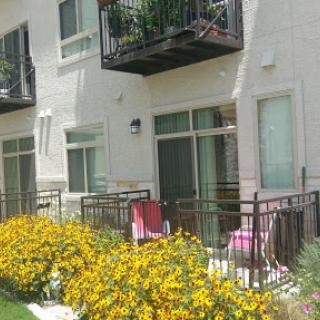 A view of an apartment building featuring balconies and vibrant yellow flowers in the foreground.
