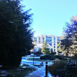 A serene view of a building surrounded by greenery and a clear blue sky.