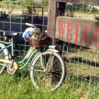 A vintage bicycle with a basket leans against a fence near a welcome sign.