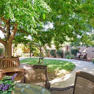 A tranquil garden patio with a seating area surrounded by lush greenery and trees.