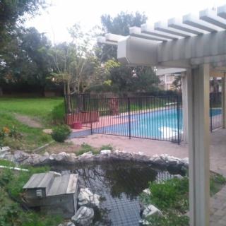 A serene backyard featuring a swimming pool, fenced area, and a small pond surrounded by greenery.