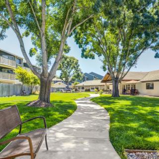 A sunny outdoor scene with a winding pathway, surrounded by lush grass and large trees, leading to nearby buildings.