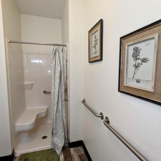 A small bathroom with a shower, curtain, handrails, and framed artwork on the wall.