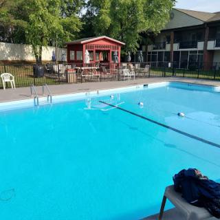 A serene outdoor swimming pool surrounded by greenery and lounge chairs, perfect for relaxation.
