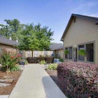 A well-maintained garden pathway surrounded by greenery in a residential area.